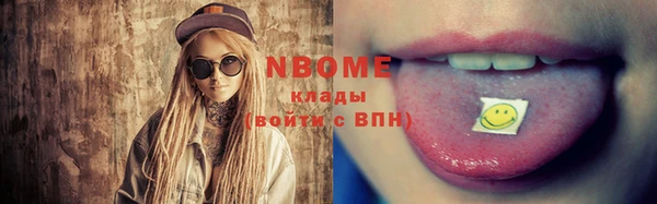 индика Абаза