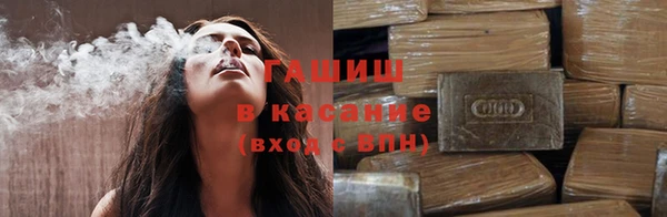 индика Абаза