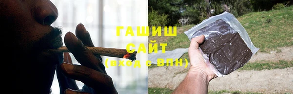 индика Абаза