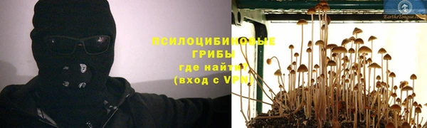 стафф Алексеевка