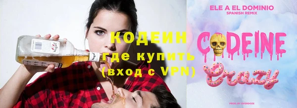 индика Абаза