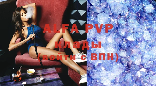 индика Абаза