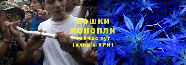индика Абаза